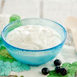 Bowl of healthy Greek yogurt