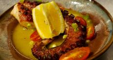 Grilled octopus at Plateia Mediterranean Kitchen & Bar in Des Plaines